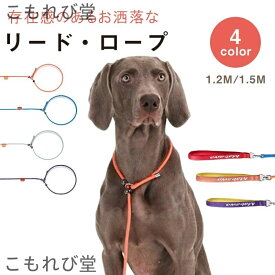 【送料無料】首輪 リード一体型頑丈 ナイロン製