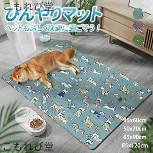 yzЂ}bgObY ⊴}bguPbg 􂦂 ^Ή JԂp\ ėp ڐG⊴