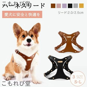 yz Sс@n[lX[h@[h ^ ^ 킢 Ȃ v U[  ȒP@TCY@h