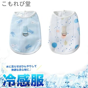 yz⊴ pxXgЂxXg pĕ pR[g ʋC DOt N[EGA hbOEGA xXg⊴N[EFA