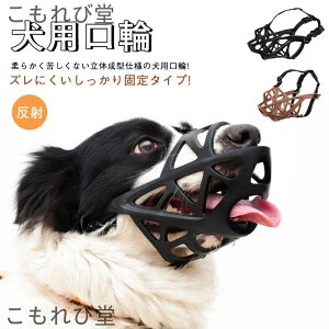 yz }Y ̐^ Œ ʋCQ ʖi ݂ EHh~ }XN ^ ^ ^ TCY\