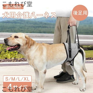 yz n[lX s⏕n[lX p VjA s p オ ⏕  둫 p pn[lX pi V