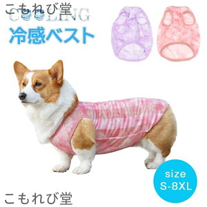 yzybg N[xXg p L Ђ ⊴ N[  ЂEFA ΍ N[EGA hbOEGA ^ ^