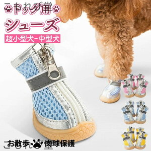 yzC EȂ ₷ ʋC ~  sS  t ^ ^ pC hbOV[Y u[c ̌C t