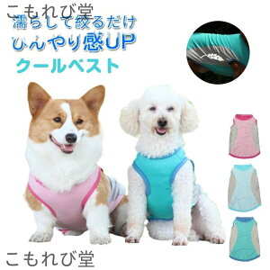 yzN[xXg p L Ђ ⊴ N[ @ЂEFA  ΍  N[EGA hbOEGA ^ ^