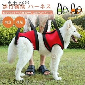 yz n[lX s⏕n[lX p bV ʋC VjA s p オ O 㑫 p pn[lX