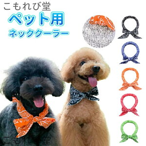 yz N[lbN N[oh ߉\ MǑ΍ ΍ Ђ pXJ[t p^I N[o_i ybg 