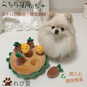 yz v  S     v[g [v  pߋ ybg   p