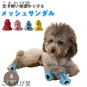 yzC EȂ ₷ ʋC ~  sS bV T_  pC hbOV[Y ̌C V[Y