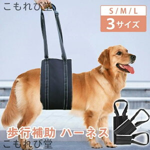 yz n[lX s⏕n[lX p ȒP K VjA s ⏕  オ pn[lX pi V