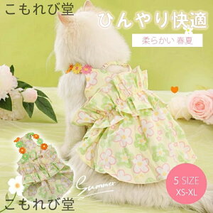 yzs[X m t ybg 킢 hX ybgEFA hbOEFA ̎q XJ[g  ʋC Pl ^