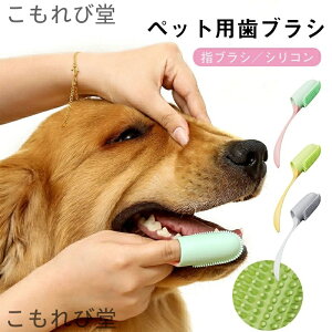 yzybgpuV wTbN^  Ck   _炩  L ׋ۏ f^PA a\h oPA