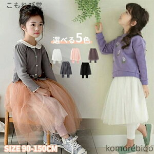 yzXJbc `[ `[XJ[g MX pc Y{ ڂ MXJ[g  xr[ H ۈ牀 ct