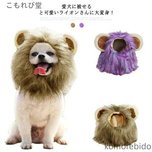 yzEBbO CI Ă ybg Xq L ˂ ^ ^ t Xq 蕨 Ck  ̖Xq ybg