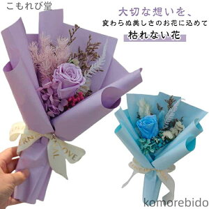 yzvU[uht[ vU[uht[ ACj JX~\E  ԑ v[g Ђ܂