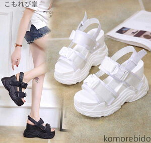 yzXj[J[T_ fB[X T}[T_ T_ X|[cT_ T_  L T_