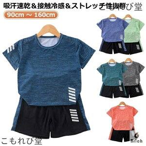 yzg[jOEFA WjA t  LbY z Zbg TVc j̎q ZbgAbv 120cm ̎q X|[c q ̑