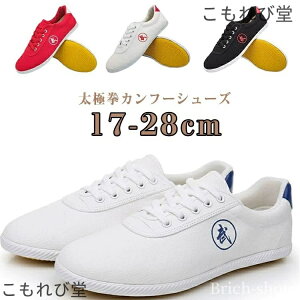 【送料無料】ト 拳法 剣 ウェア 太極拳服 中国武術 メッシュ 功夫靴 カンフー靴 太極拳靴 シューズ 太極拳シューズ カンフーシューズ 太極拳