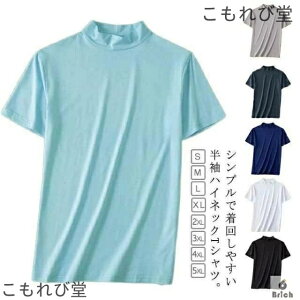 yzX|[c nClbNtVc StEFA TVc Y Y  JWA n gbvX Jbg\[ 傫TCY eB