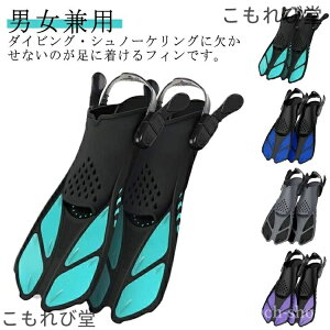 yzTCY y EȒP Kp j XCtB _CrO Ђ XgbvtB tB Vm[P Vm[PO