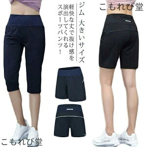 yz傫TCY W S Nbvhpc Kpc H t [EFA XGbgpc C v[ r[`