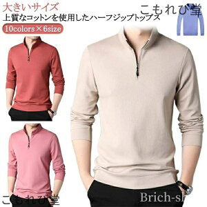 yz Y StEFA g[i[ Wbv  X|[c JWAn[tWbv 1/2 Y n[tWbvg[i[