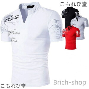 yzJWA uh StEFA Zn  StVc T}[ V StEFA TVc  POLO Y  EC^[