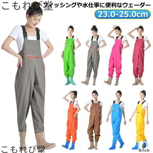 yz`FXgnCEF[_[ C t[^[ Ⴉ EF[_[  p t d ނ d fB[X tC