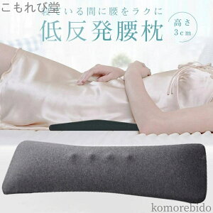 yzNbV v[g   T|[gy̎tďCzObY Q鎞 ᔽ܂ ɉP  AQp ᔽ}bg