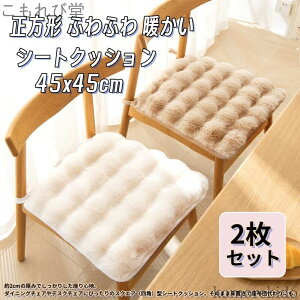 yz45x45cmTCY 2Zbg lp  ӂӂ 萶n  ` h΍  H~ `FApbh }C g