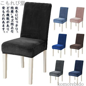 yzw ֎qJo[ tBbg ֎qJo[  N w `FA[Jo[ Xgb` CXJo[  t[Xn H~p