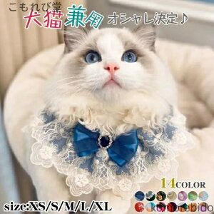 yzhbOEFA LbgEFA 킢 hbO p Lp   L ybg  Xg[ `