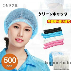 yzuL wALbv sN u[ zCg ubN Lbv jp ĝ sDz 500 Ɩp