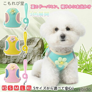 yz n[lX [hZbg tėp Ȃ h~ ^ b?J[ ʋCQ rV gCv[h |jAɍœK lC