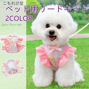 yzpxXg ybgEFA tėp bV ё s[X n[lX[h Zbg  n[lX ybgpi hbOEFA ^p