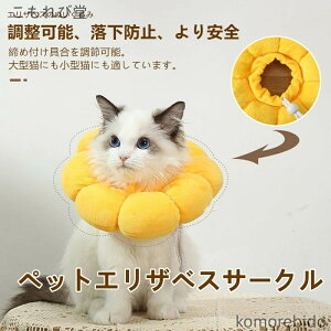 yzGUxXT[N LpGUxXJ[ \tgwbhJo[ trߖh~p㏝ی ppp GUxX 