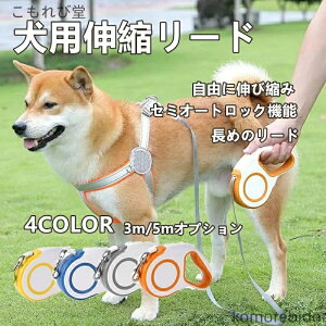 yzp[h Lk[h p[h  莮 Lk[h p    [hn[lX