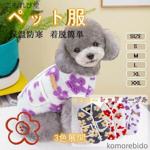 yzybg  TVc  H~ߑ ^ ^ _炩 phwJʂ݂̒gybg 풅 AEghA