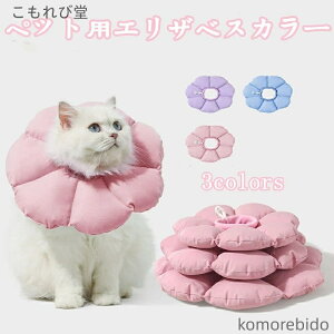 yzybgpi ybgpԕtGUxXJ[ Lp _炩f y K rߖh~ ݂h~ pPA ی XgXy