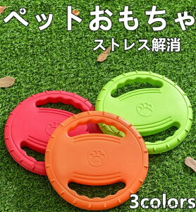 yzybgpi   tXr[ h[ic^ tCOfBXN    EVA y v XgX ^s