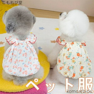 yzLp ybgpi ėp  XJ[g ȑf tCOX[u ^ Lp s[X efB |jA hX ʋC K