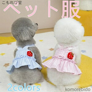 yz t ybgp L~\[ XJ[g z[t Xgx[fUC   n[lX J obNNX s[X