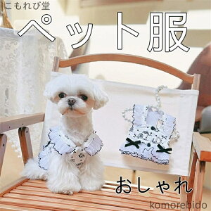 yzybg  L z[t JAXJ[g tėp  y ^ efB }`[Y  hX XJ[g fUC