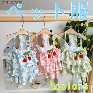 yzybgp t `F[ fCW[ P[LXJ[g TXy_[  s[X  hX ^ ^ ʋC K y 