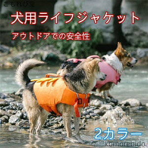 yzpCtWPbg ybgp  HfUC ~ ˃e[v Et S⏕ f V C  y h ϖ S