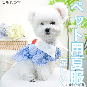 yzybg   s[X  `FbN ̎qp t  hbOEFA ^ ^ ^   ʋC  U