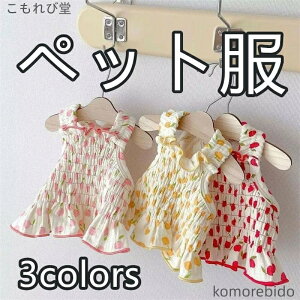 yzybg păTXy_[XJ[g efBLp vZX xXgXJ[g bh CG[ sN t@bViu y ʋCQ