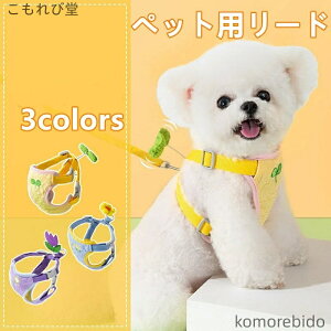 yzybgn[lX [ht  Lp 3FWJ   y EȒP mo EGXg蒲߉\ U o