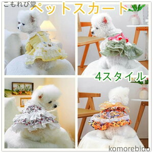 yzybgXJ[g ybgp  lN^Ct V tėp ^ N[ [XXJ[g  K   Oo U