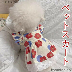 yz s[X hX ĕ t  ʋC ybg hbOEFA  ԕ Pl ybgp ^ ^  LOBe a